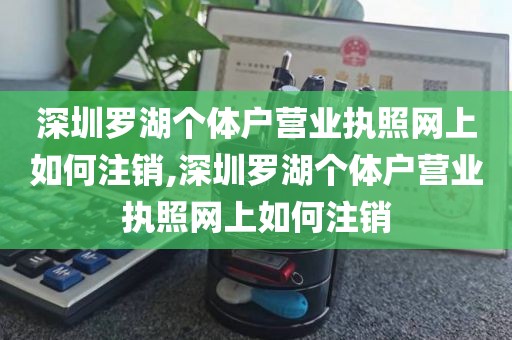 深圳罗湖个体户营业执照网上如何注销,深圳罗湖个体户营业执照网上如何注销
