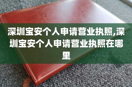 深圳宝安个人申请营业执照,深圳宝安个人申请营业执照在哪里