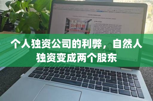 个人独资公司的利弊，自然人独资变成两个股东