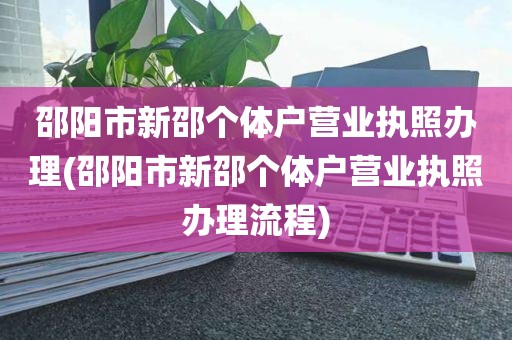邵阳市新邵个体户营业执照办理(邵阳市新邵个体户营业执照办理流程)