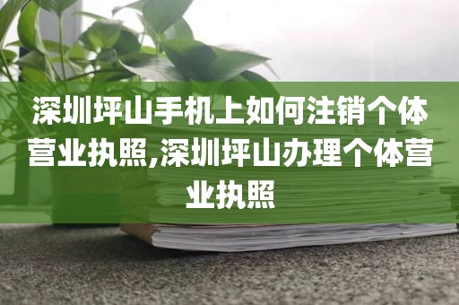 深圳坪山手机上如何注销个体营业执照,深圳坪山办理个体营业执照