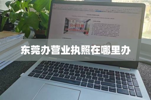 东莞办营业执照在哪里办