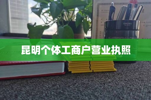 昆明个体工商户营业执照