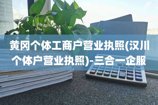 黄冈个体工商户营业执照(汉川个体户营业执照)-三合一企服