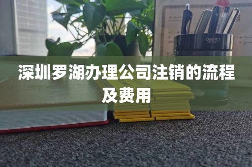 深圳罗湖办理公司注销的流程及费用