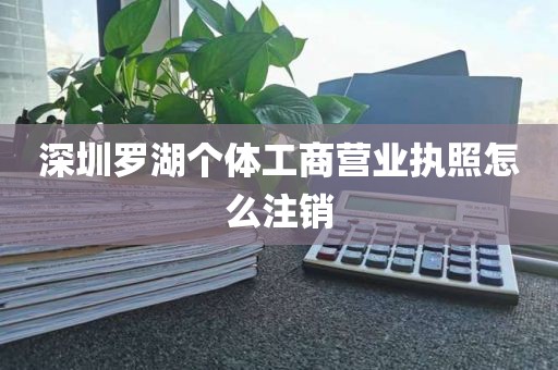 深圳罗湖个体工商营业执照怎么注销