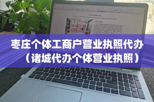 枣庄个体工商户营业执照代办（诸城代办个体营业执照）