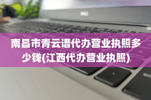 南昌市青云谱代办营业执照多少钱(江西代办营业执照)