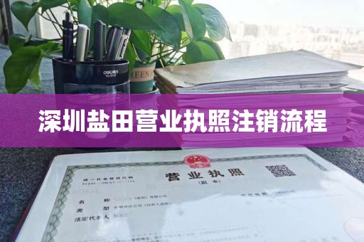 深圳盐田营业执照注销流程