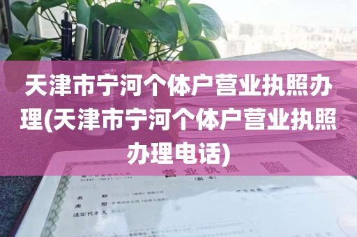 天津市宁河个体户营业执照办理(天津市宁河个体户营业执照办理电话)