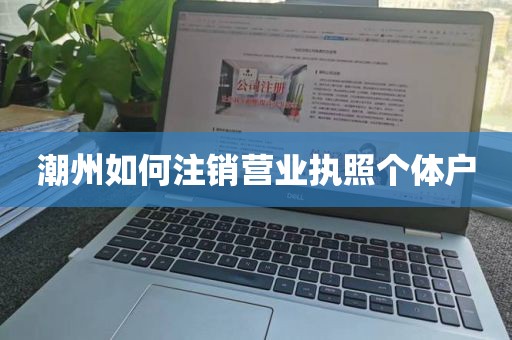 潮州如何注销营业执照个体户