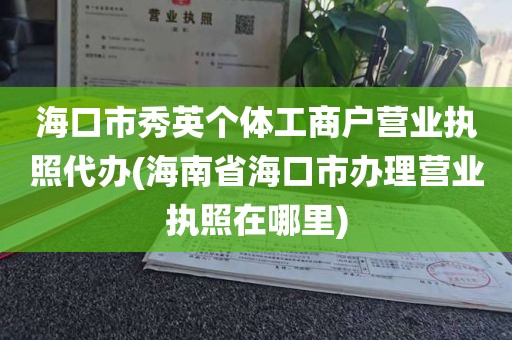 海口市秀英个体工商户营业执照代办(海南省海口市办理营业执照在哪里)