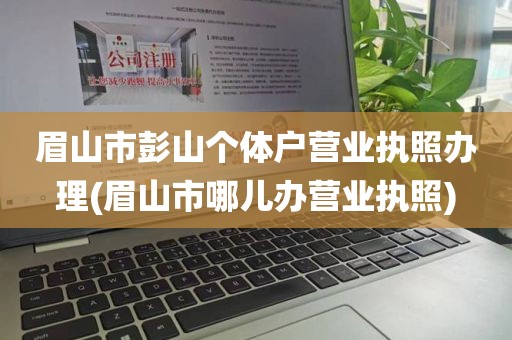 眉山市彭山个体户营业执照办理(眉山市哪儿办营业执照)