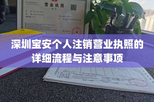 深圳宝安个人注销营业执照的详细流程与注意事项