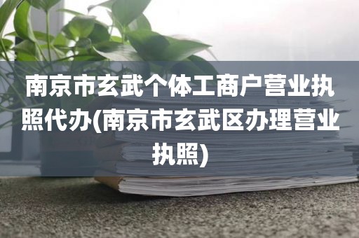 南京市玄武个体工商户营业执照代办(南京市玄武区办理营业执照)