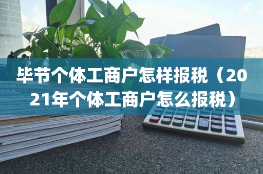 毕节个体工商户怎样报税（2021年个体工商户怎么报税）