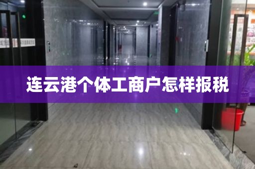 连云港个体工商户怎样报税