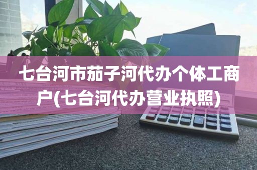 七台河市茄子河代办个体工商户(七台河代办营业执照)