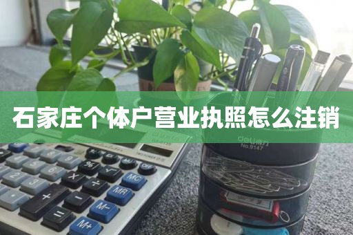 石家庄个体户营业执照怎么注销
