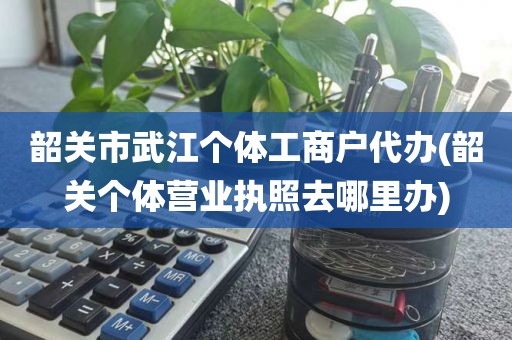 韶关市武江个体工商户代办(韶关个体营业执照去哪里办)