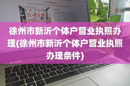 徐州市新沂个体户营业执照办理(徐州市新沂个体户营业执照办理条件)