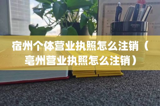 宿州个体营业执照怎么注销（亳州营业执照怎么注销）