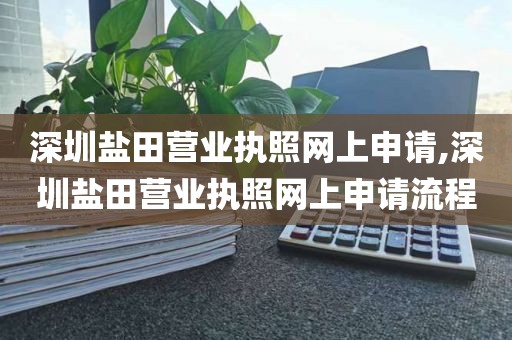 深圳盐田营业执照网上申请,深圳盐田营业执照网上申请流程