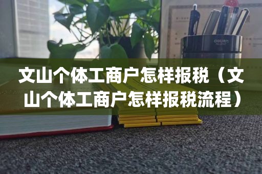 文山个体工商户怎样报税（文山个体工商户怎样报税流程）