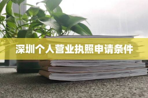 深圳个人营业执照申请条件