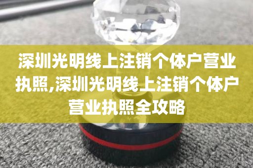深圳光明线上注销个体户营业执照,深圳光明线上注销个体户营业执照全攻略