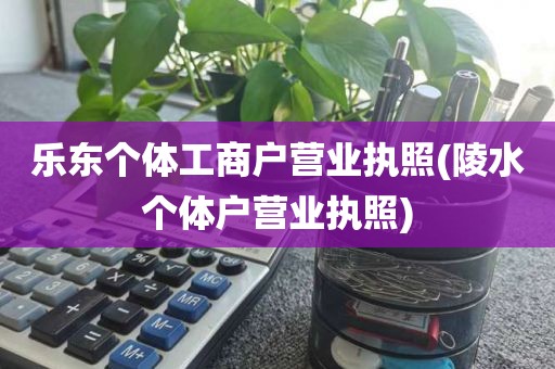 乐东个体工商户营业执照(陵水个体户营业执照)