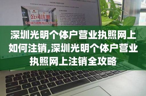 深圳光明个体户营业执照网上如何注销,深圳光明个体户营业执照网上注销全攻略