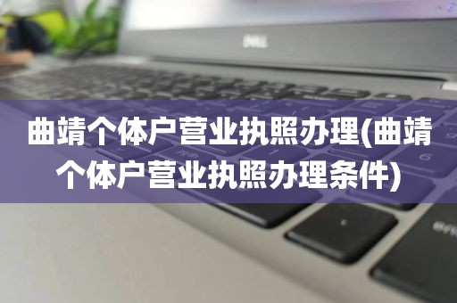曲靖个体户营业执照办理(曲靖个体户营业执照办理条件)