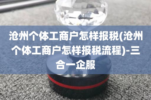沧州个体工商户怎样报税(沧州个体工商户怎样报税流程)-三合一企服