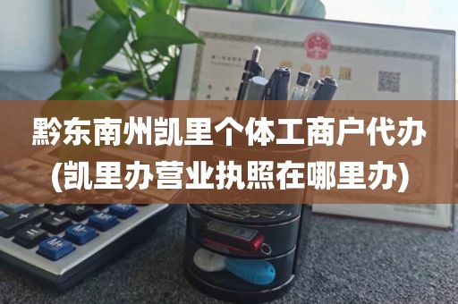 黔东南州凯里个体工商户代办(凯里办营业执照在哪里办)