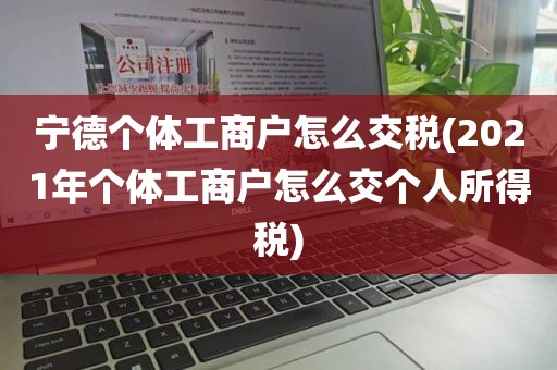 宁德个体工商户怎么交税(2021年个体工商户怎么交个人所得税)
