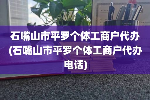 石嘴山市平罗个体工商户代办(石嘴山市平罗个体工商户代办电话)
