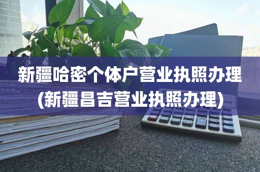 新疆哈密个体户营业执照办理(新疆昌吉营业执照办理)