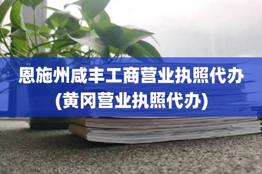 恩施州咸丰工商营业执照代办(黄冈营业执照代办)