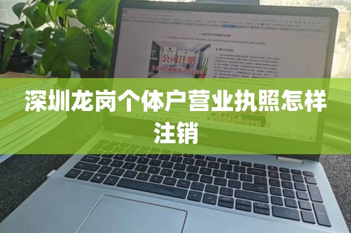 深圳龙岗个体户营业执照怎样注销