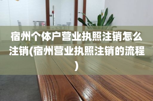 宿州个体户营业执照注销怎么注销(宿州营业执照注销的流程)