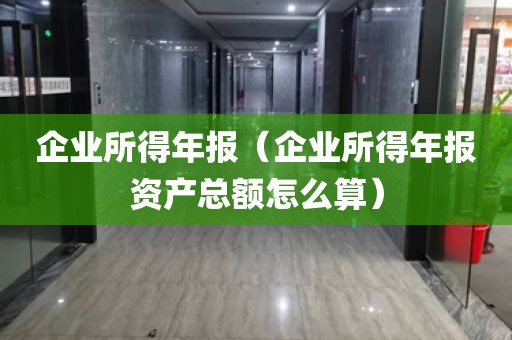 企业所得年报（企业所得年报资产总额怎么算）