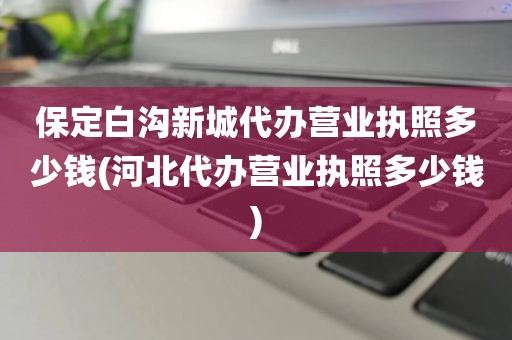 保定白沟新城代办营业执照多少钱(河北代办营业执照多少钱)