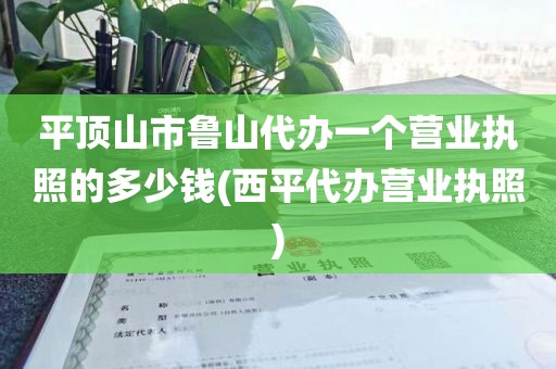 平顶山市鲁山代办一个营业执照的多少钱(西平代办营业执照)