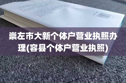 崇左市大新个体户营业执照办理(容县个体户营业执照)