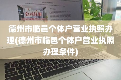德州市临邑个体户营业执照办理(德州市临邑个体户营业执照办理条件)