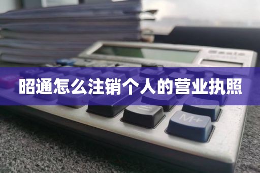 昭通怎么注销个人的营业执照