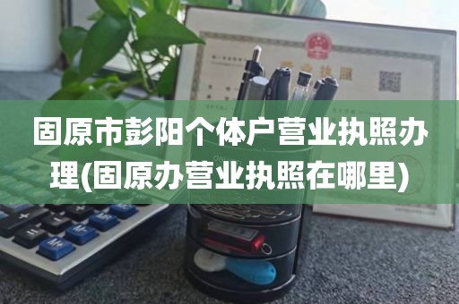 固原市彭阳个体户营业执照办理(固原办营业执照在哪里)
