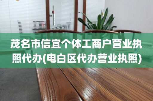 茂名市信宜个体工商户营业执照代办(电白区代办营业执照)