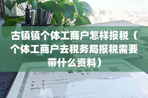 古镇镇个体工商户怎样报税（个体工商户去税务局报税需要带什么资料）